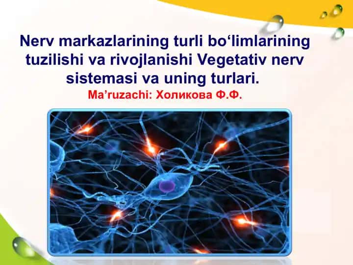 Nerv markazlarining turli bo‘limlarining tuzilishi va rivojlanishi