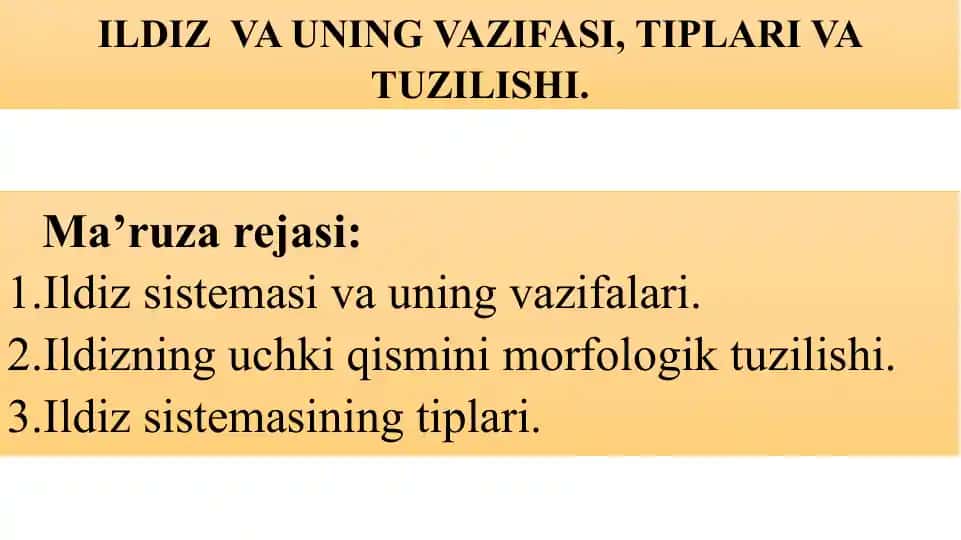 ILDIZVA UNING VAZIFASI, TIPLARI VA TUZILISHI