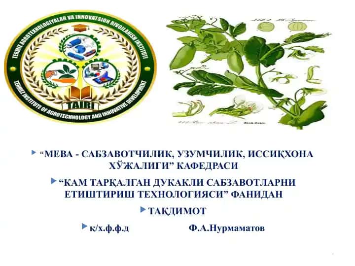 Кам тарқлаган дуккакли сабзавотлар генофонди ва унинг озиқ-овқат ҳавфсизлигини кафолатлашдаги роли