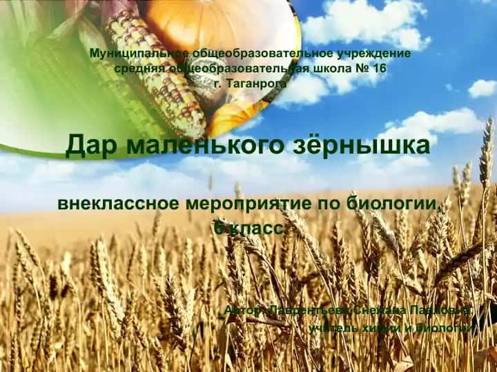 Хлеб