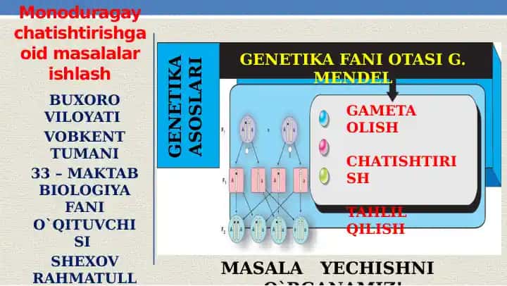 GENETIKADAN MASALA ISHLASH
