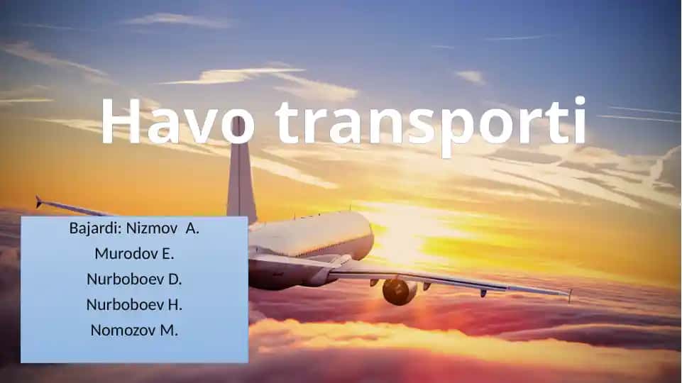 Havotransporti