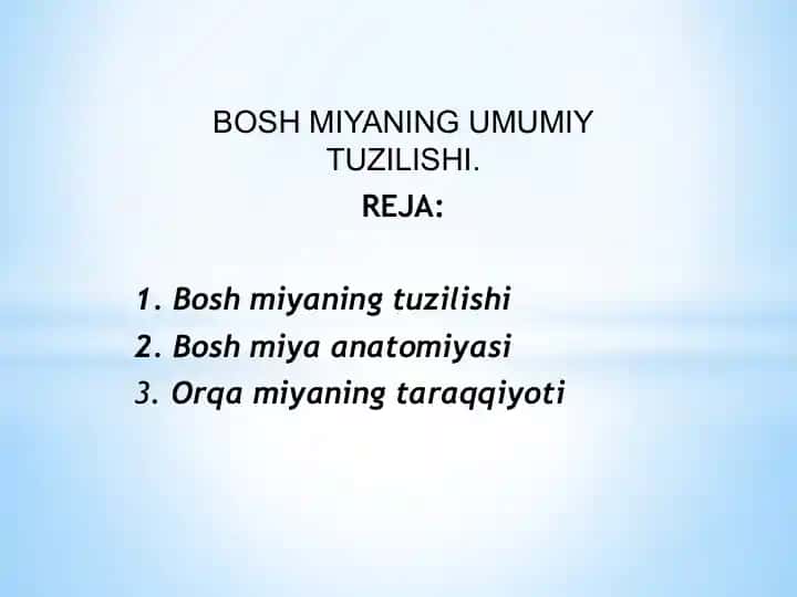 BOSH MIYANING UMUMIY TUZILISHI