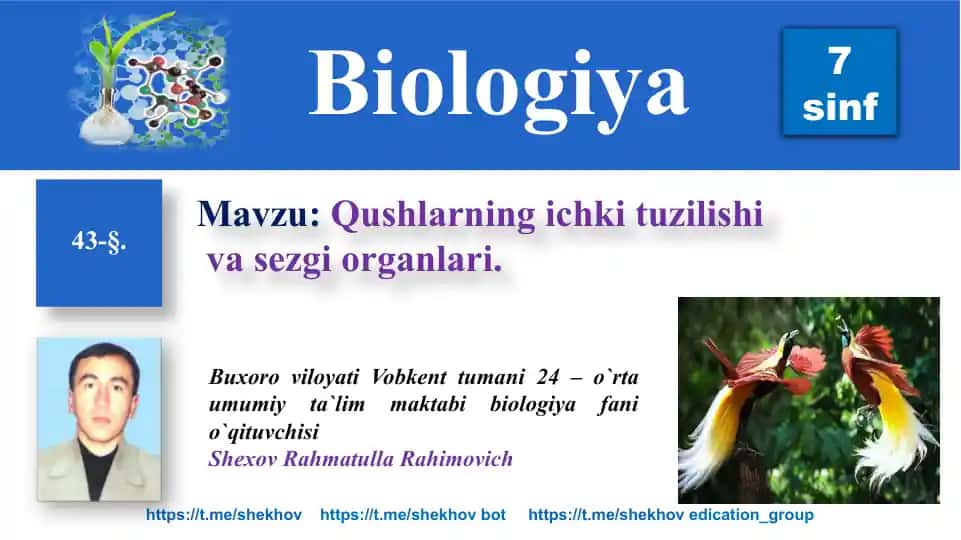 Qushlarning ichki tuzilishi va sezgi organlari