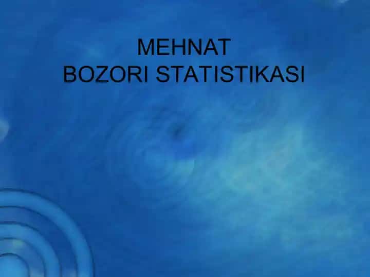 MEHNATBOZORI STATISTIKASI