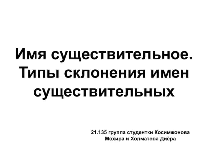 Имя существительное. Типы склонения имен существительных
