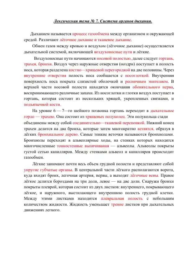 Дыхание и его система в организме человека