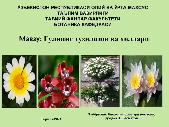Гулнинг тузилиши ва хиллари