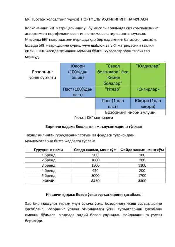 БКГ (Бостон колсалтинг гурухи) ПОРТФЕЛЬТАҲЛИЛИНИНГ НАМУНАСИ