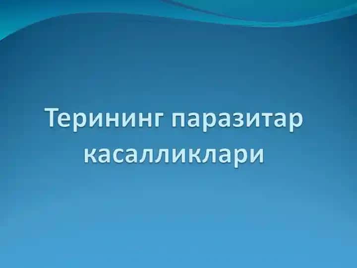 Терининг паразитар касалликлари