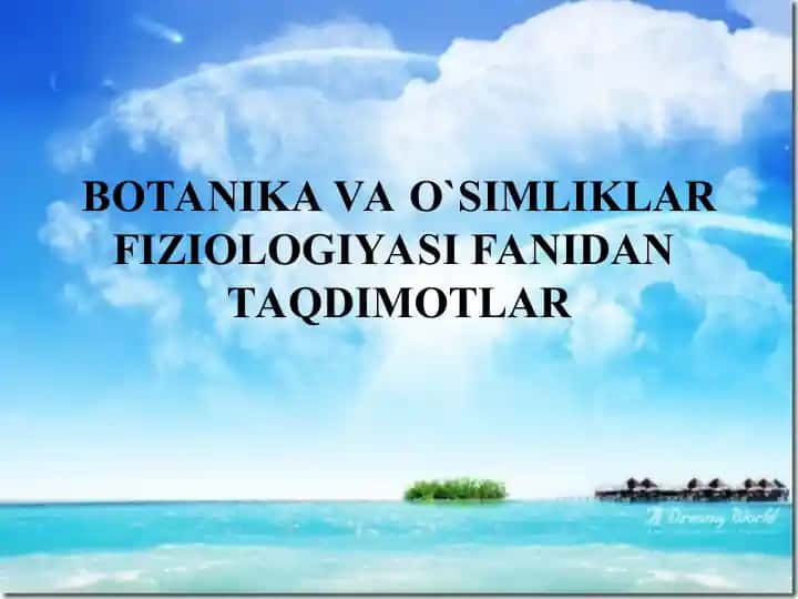 BOTANIKA VA O`SIMLIKLAR FIZIOLOGIYASI FANIDAN TAQDIMOTLAR