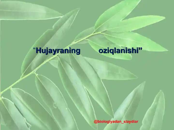 Hujayraning oziqlanishi