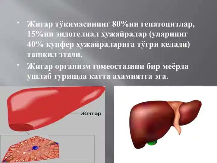 O'tkir jigar yetishmovchiligi