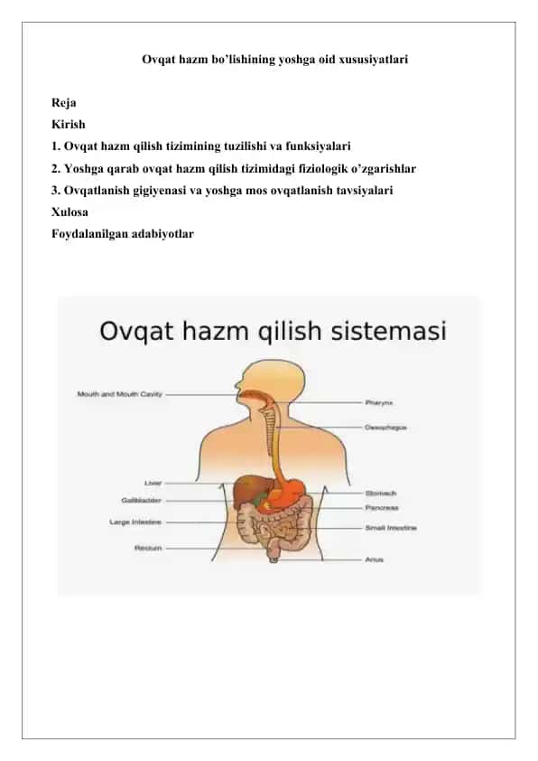 Ovqat hazm bo’lishining yoshga oid xususiyatlari