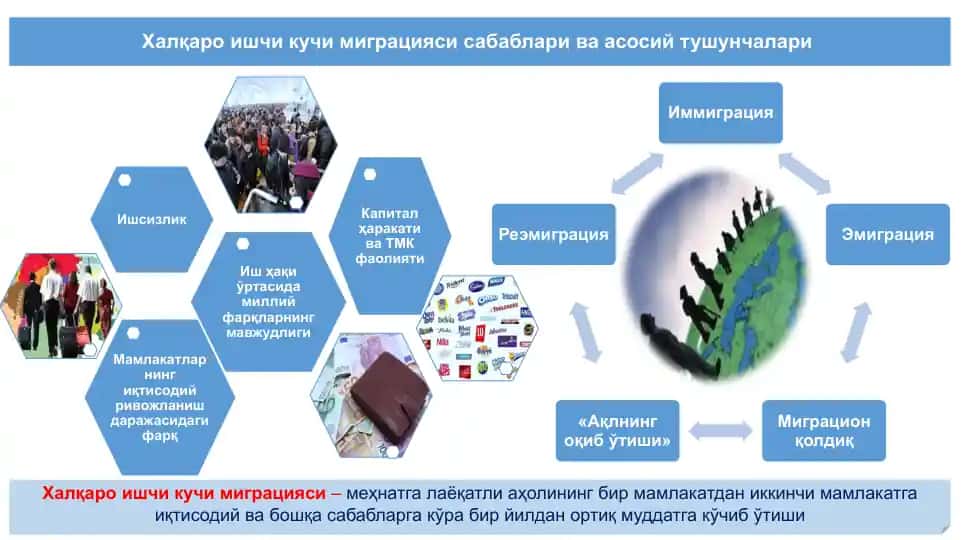 Халқаро ишчи кучи миграцияси сабаблари ва асосий тушунчалари