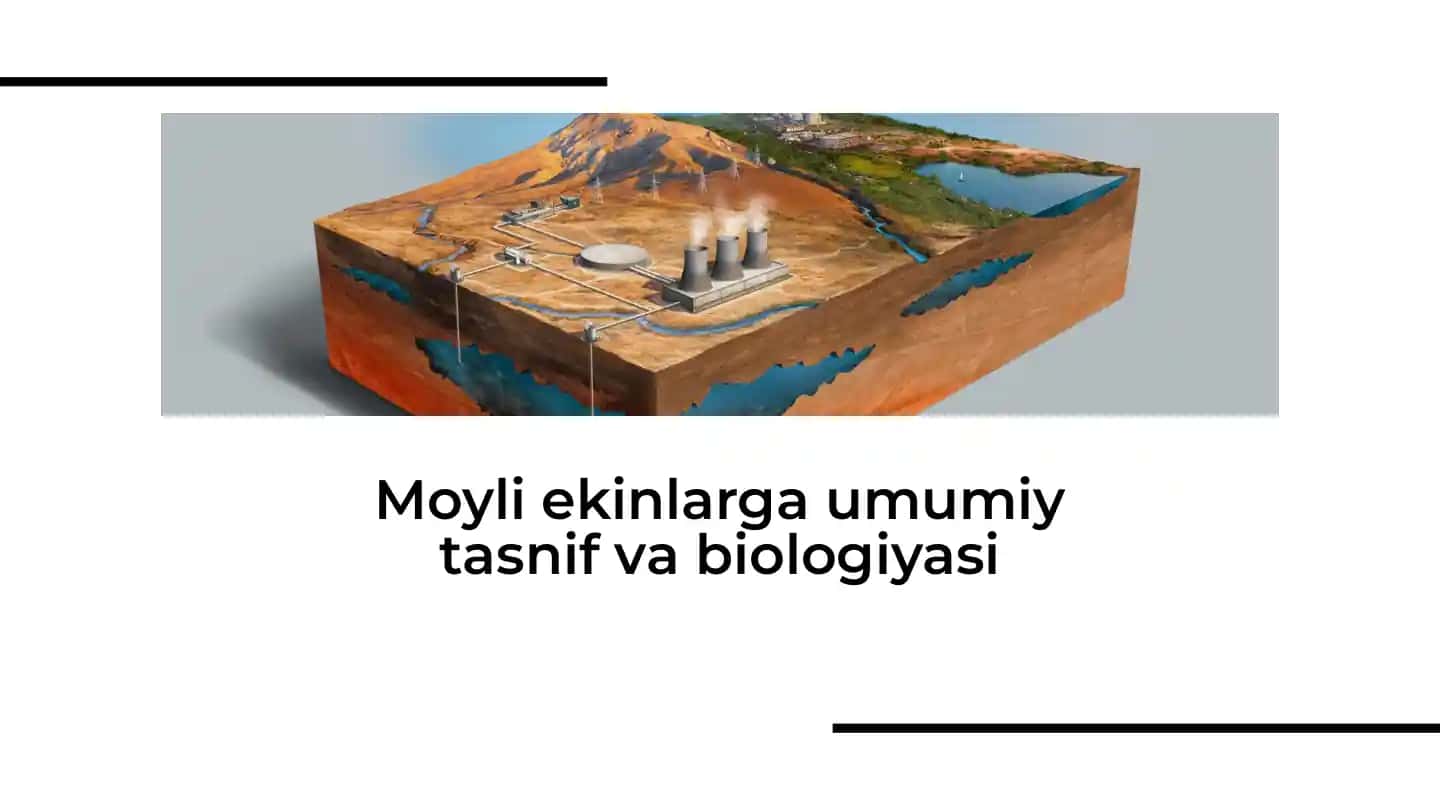 Moyli ekinlarga umumiy tasnif va biologiyasi