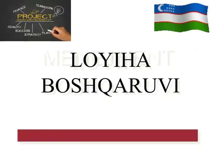 MENEJMENT LOYIHA BOSHQARUVI