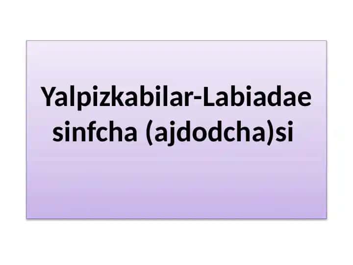 Yalpizkabilar-Labiadaesinfcha(ajdodcha)si