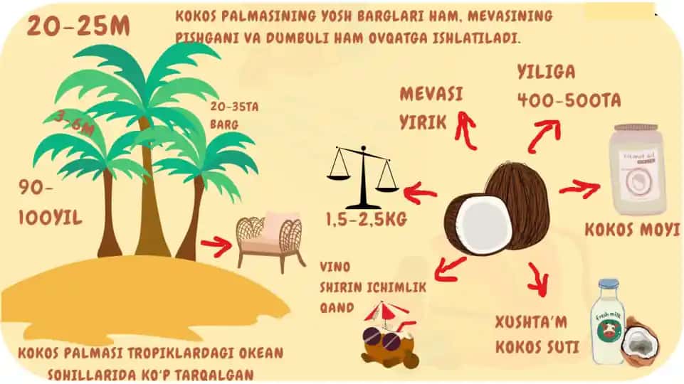 Lorem Ipsum Mahsuloti