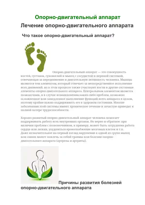 Опорно-двигательный аппарат