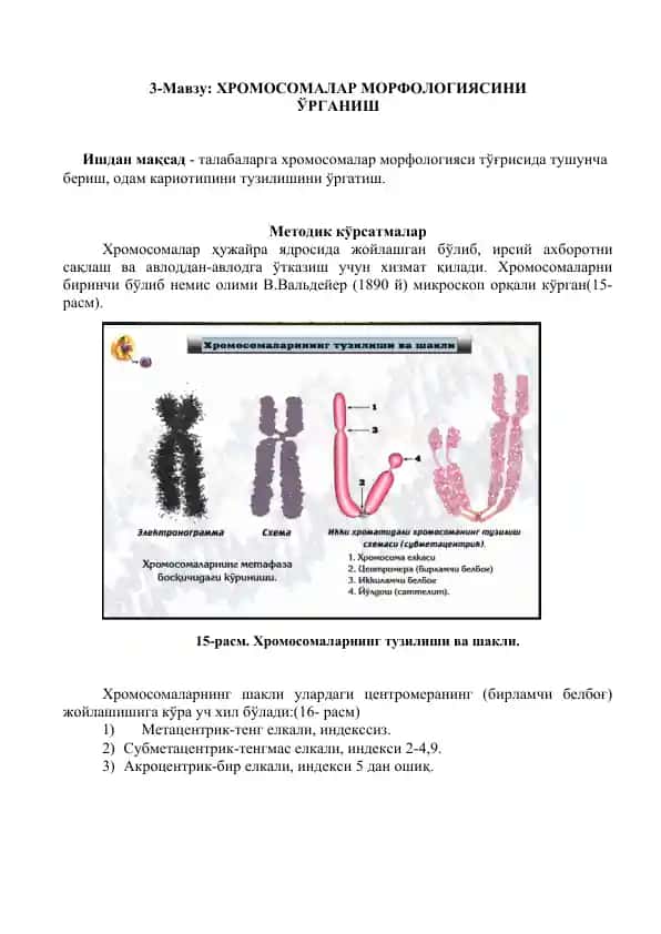Хромосомалар морфологияси
