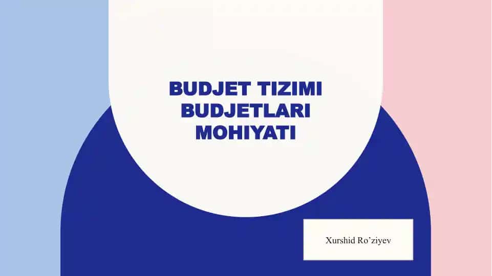 Budjettizimi