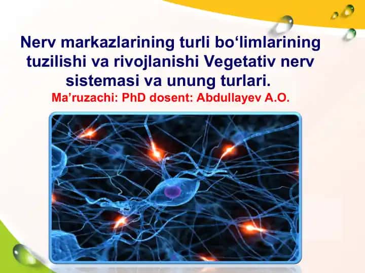 Nerv markazlarining turli bo‘limlarining tuzilishi va rivojlanishi