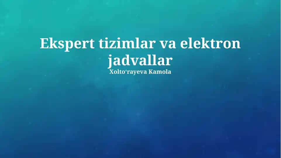 Ekspert tizimlar va elektron jadvallar
