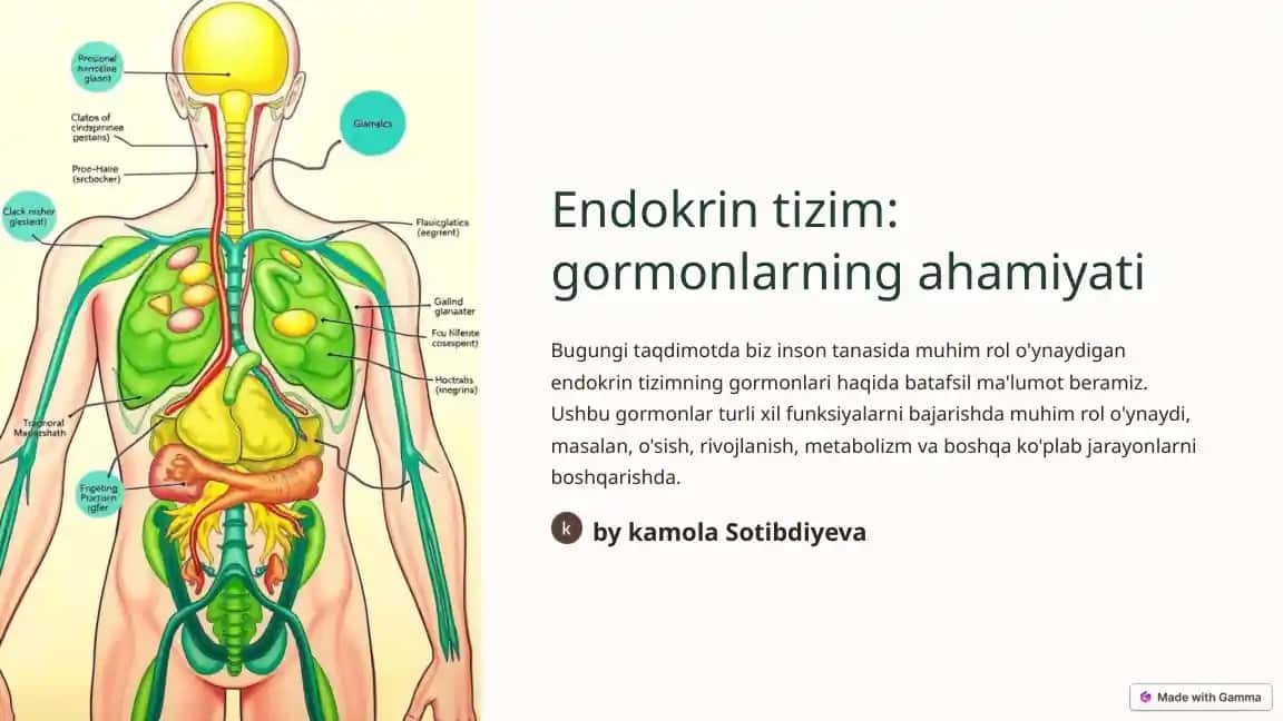 Endokrin tizim: gormonlarning ahamiyati