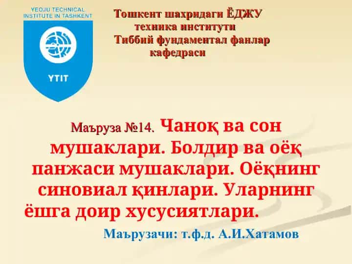 Чаноқва сон мушаклари