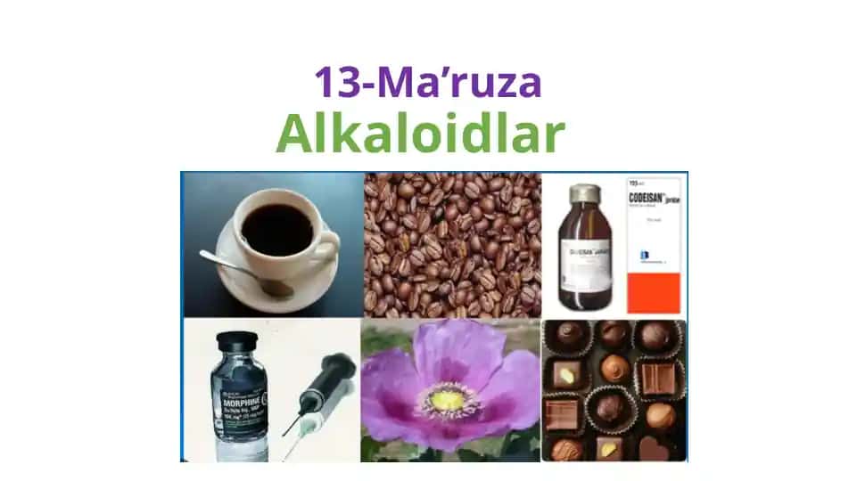Alkaloidlar