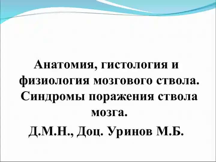Анатомия, гистология и физиология мозгового ствола