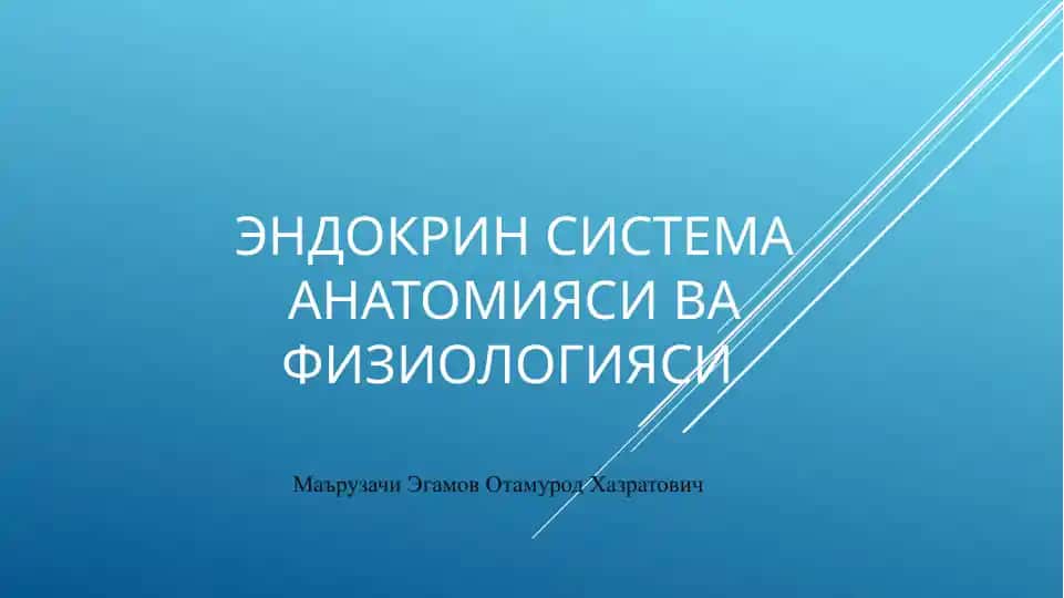 Эндокрин система анатомияси ва физиологияси