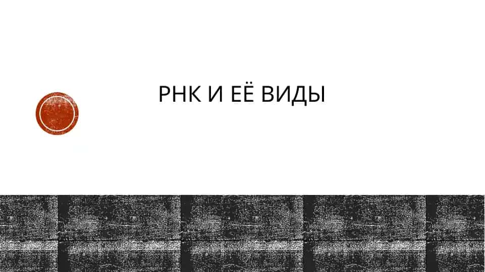 РНК