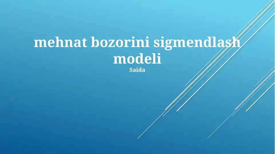 Mehnat bozorini sigmendlash modeli