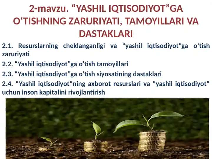 Yashil iqtisodiyotga qo‘tishning zaruriyati, tamoyillari va dastaklari