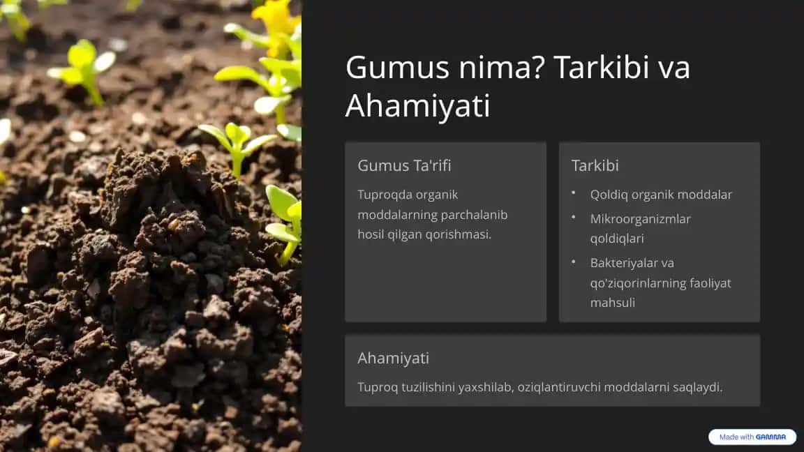 Gumus nima? Tarkibi va Ahamiyati