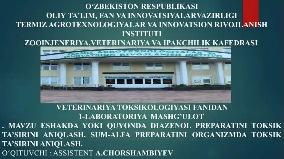 Diazenol va Sum-Alfa preparatlari