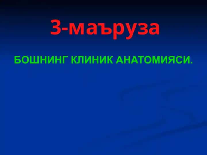 Bo'shning Klinik Anatomiysi