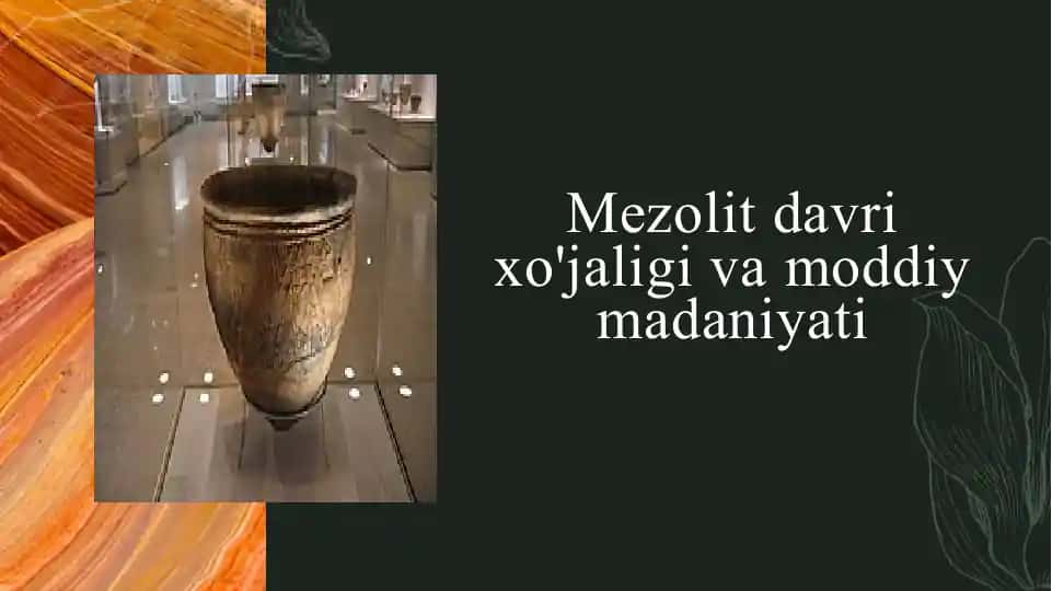 Mezolit davri xo'jaligi vamoddiy madaniyati