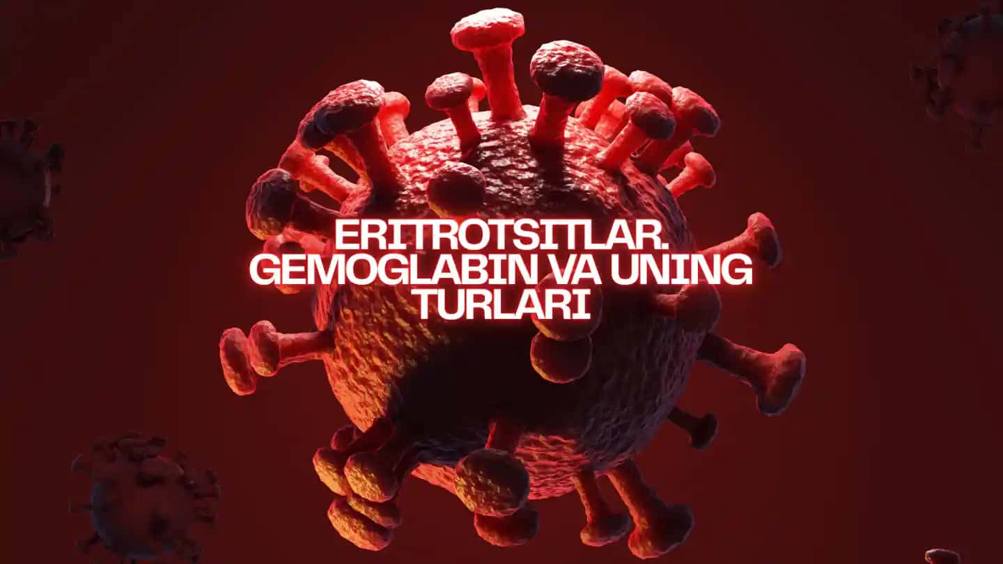 Eritrotsitlar Gemaglabin va uning turlari