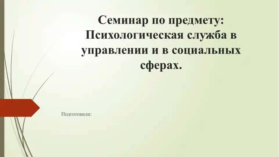 Семинар по предмету: Психологическая служба в управлении и в социальных сферах