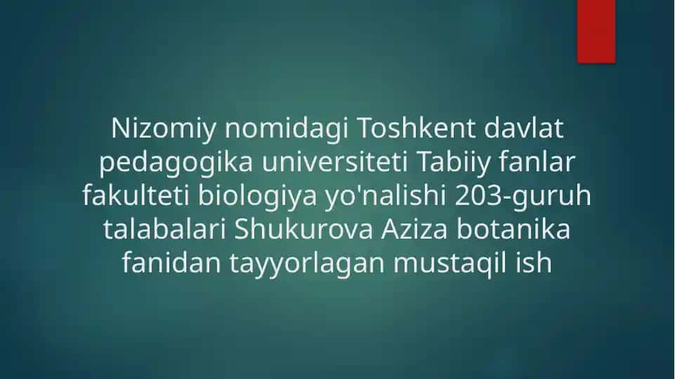 Nargisdoshlar oilasi