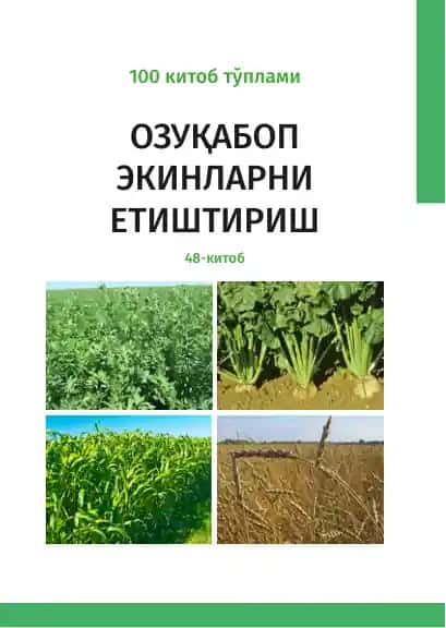 Озуқабоп Экинларни Етиштириш