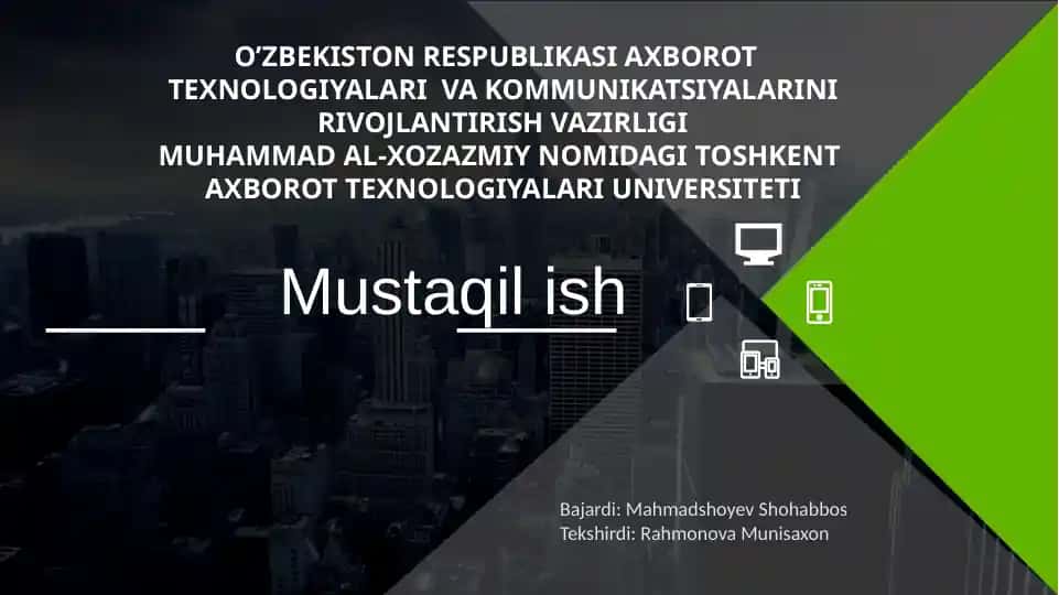 Dasturiy taminot sohasining modellari