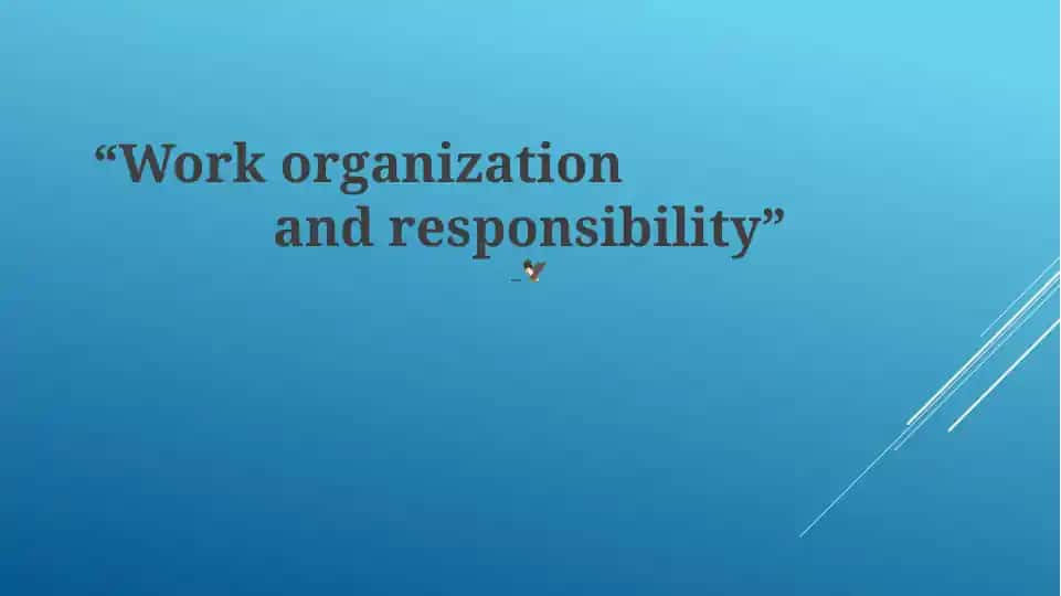 Work organization and responsibility