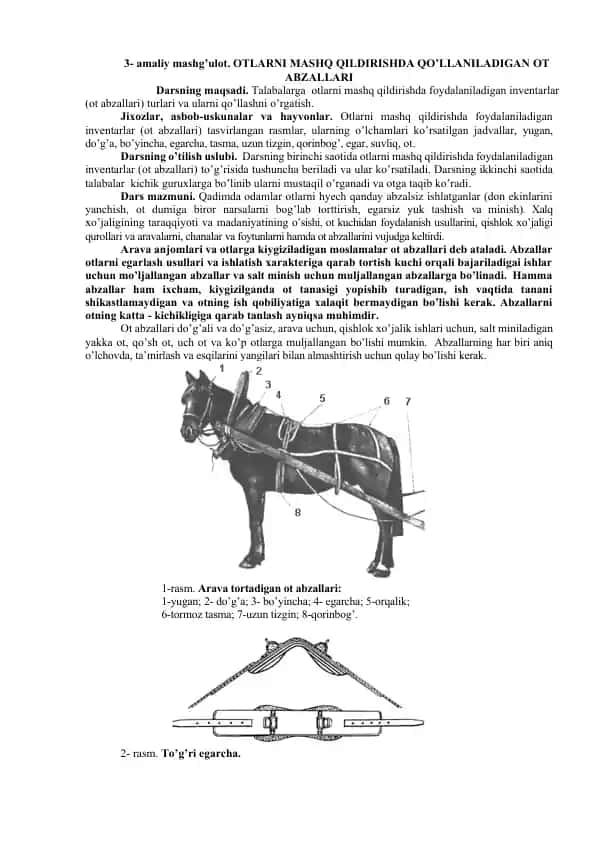 Otlarni Mashq Qildirishda Qo'llaniladigan Ot Abzallari