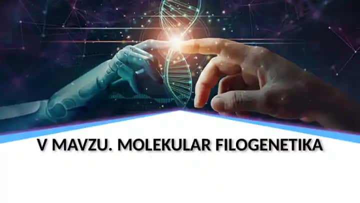 Molekulyar filogenetika