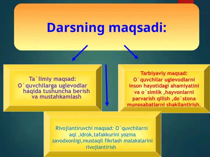 Uglevodlar haqida dars