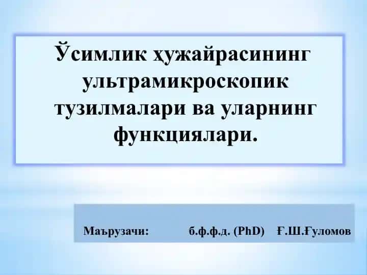 Ўсимлик ҳужайрасининг ультрамикроскопик тузилмалари ва уларнинг функциялари